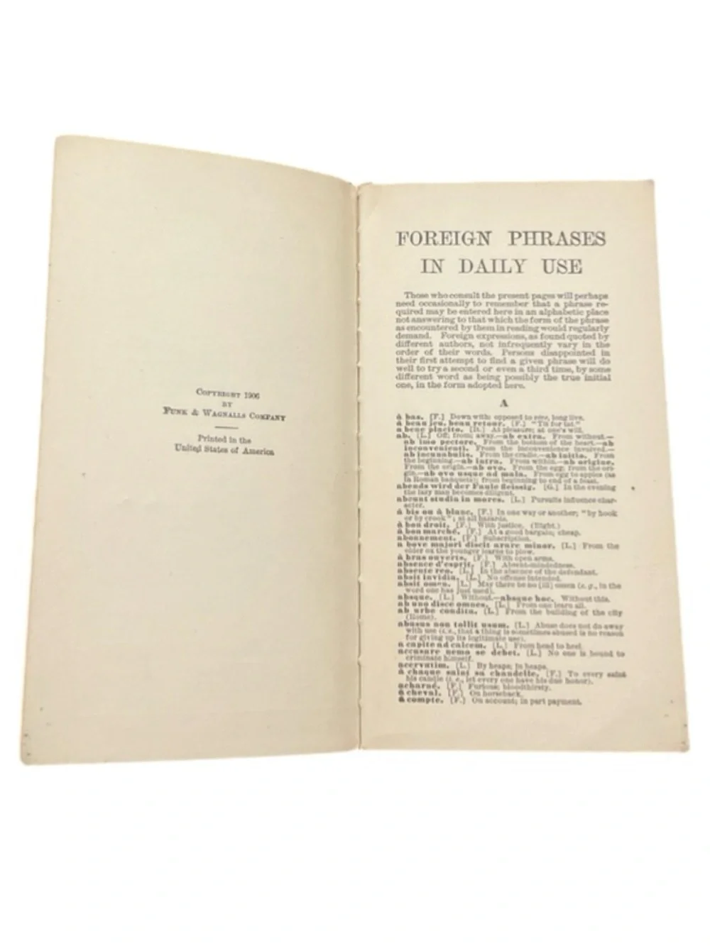 Foreign Phrases in Daily Use - Vintage 1917 Book